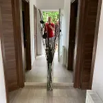 Enter Rooms